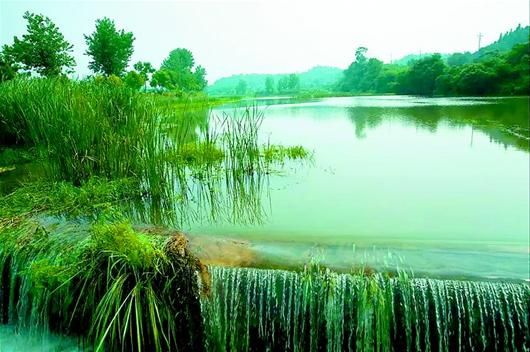 青龙村
