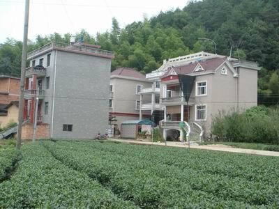 博雅地名网 浙江省 丽水 遂昌县 妙高街道 北门村 妙高街道北门村