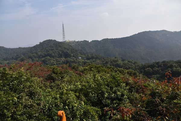 天鹿湖森林公园