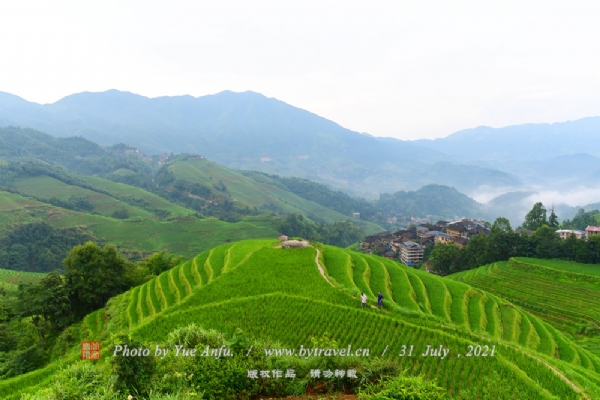 龙脊梯田