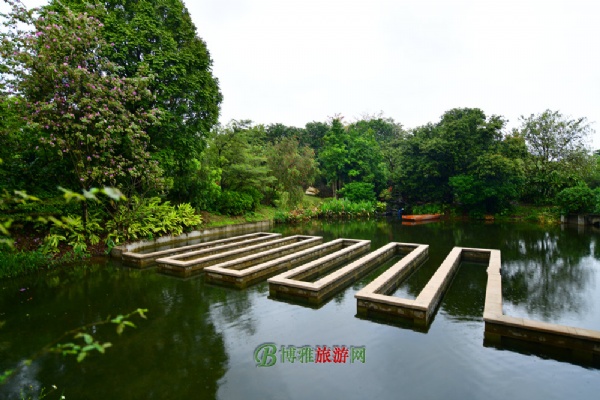 广州海珠国家湿地公园(海珠湿地公园)图片