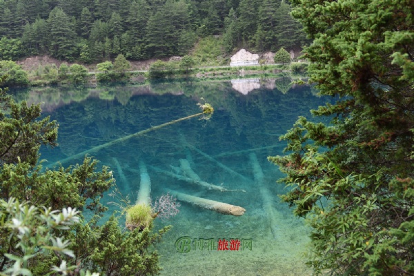 漳扎镇