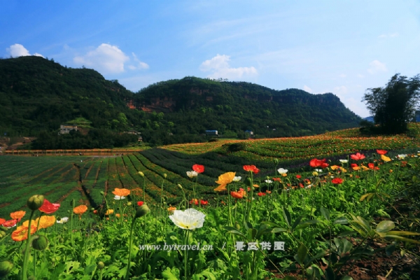 “花田酒地”景区