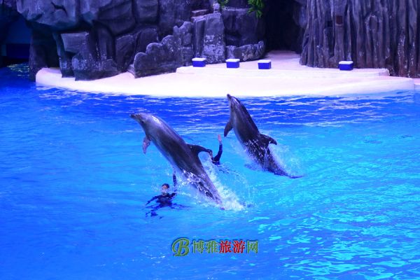 珠海横琴·长隆国际海洋度假区
