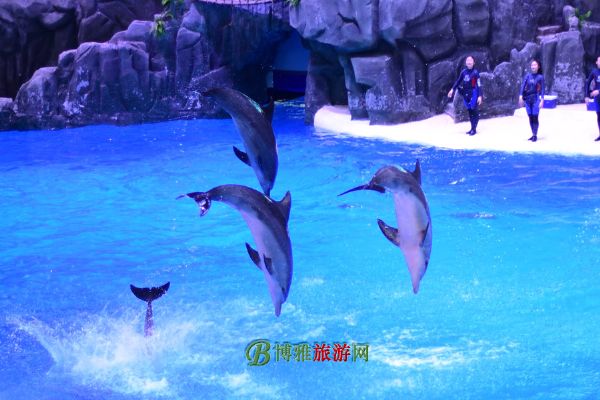 珠海横琴·长隆国际海洋度假区