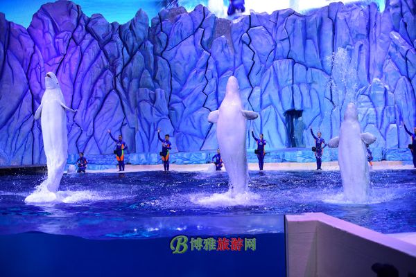 珠海横琴·长隆国际海洋度假区