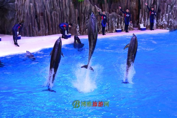 珠海横琴·长隆国际海洋度假区