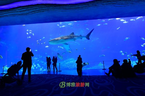 珠海横琴·长隆国际海洋度假区