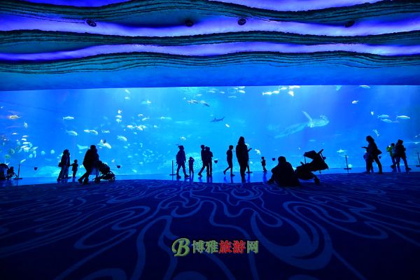 珠海横琴·长隆国际海洋度假区