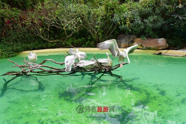 珠海横琴·长隆国际海洋度假区