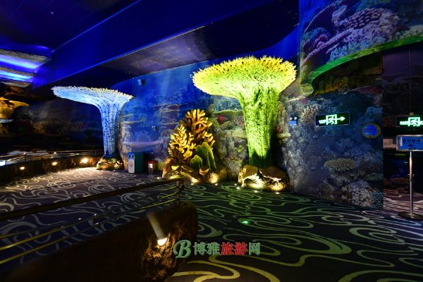 珠海横琴·长隆国际海洋度假区