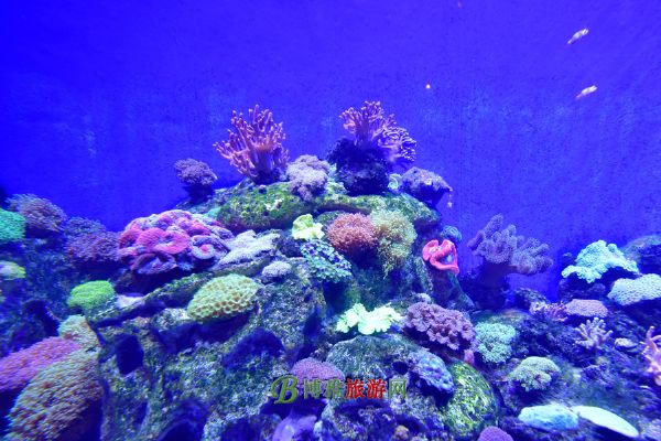 珠海横琴·长隆国际海洋度假区