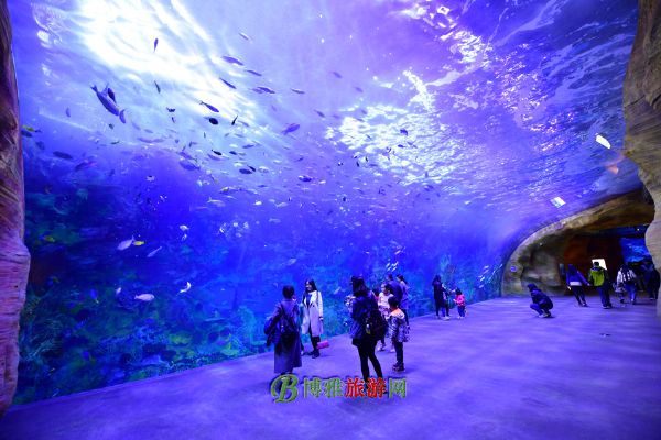 珠海横琴·长隆国际海洋度假区