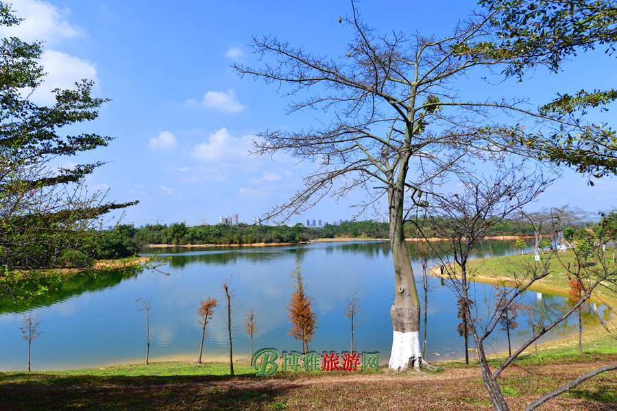 松山湖景区图片