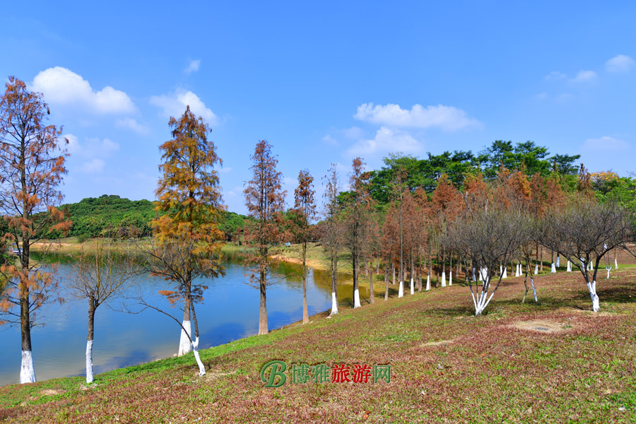 松山湖景区图片