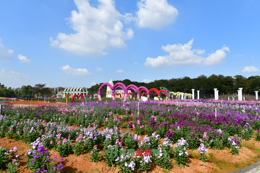 梦幻百花洲图片