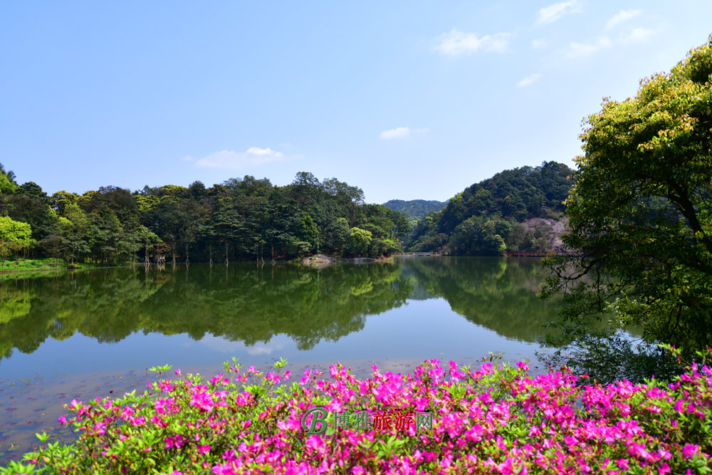 石门国家森林公园图片