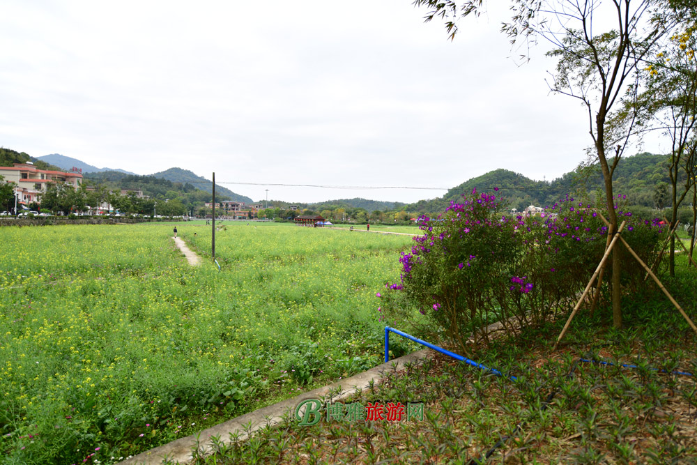 梯面红山村图片