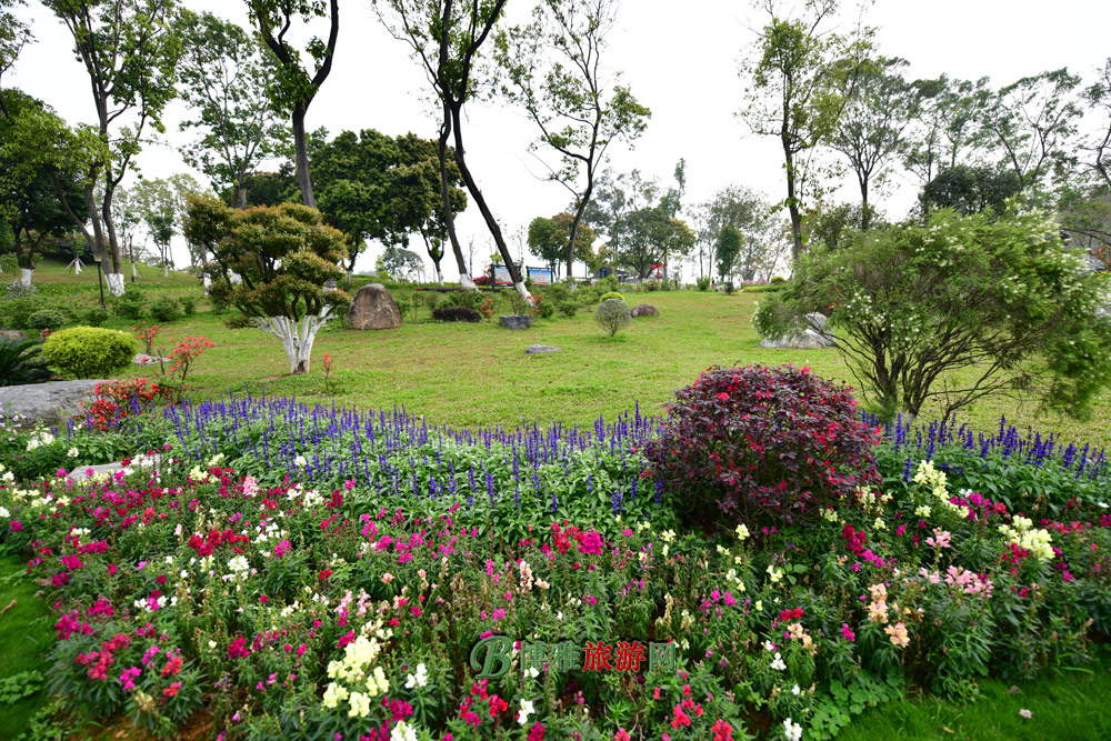 东莞植物园图片